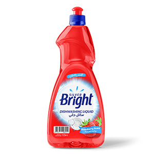 Dishwashing Liquid Strawberry
