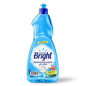 Dishwashing Liquid Ocean Fresh
